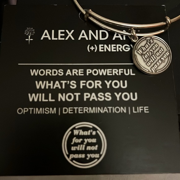 Alex & Ani Expression Expandable Bangle - Picture 4 of 4